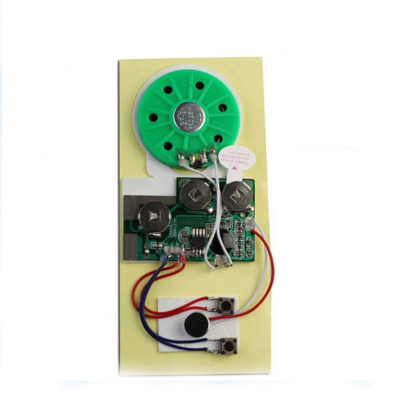 2020 High quality Hotsale Recorder Sound Recorder/Voice Recordable Card Module
