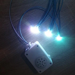 Chip with colorful LED and customized music