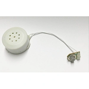 Press Button Recordable Music Box