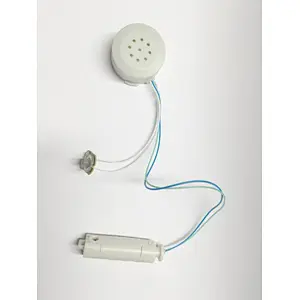 Custom made plastic type music voice mechanism sound module for toys