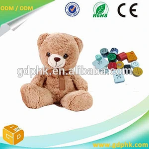 recordable sound chip voice chip sound module