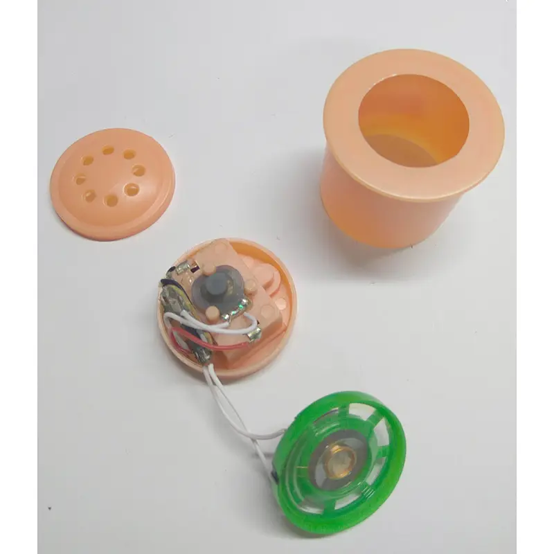 Plush toy sound module animal voice recorder electronic sound box for stuffed toys