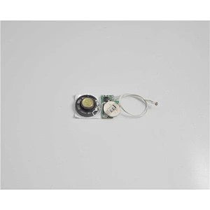 Manufacturer IC Chip on board for educational book and stuffed plush toy