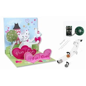 China Manufacturer Recordable Sound Module for toys IC chip COB music chip