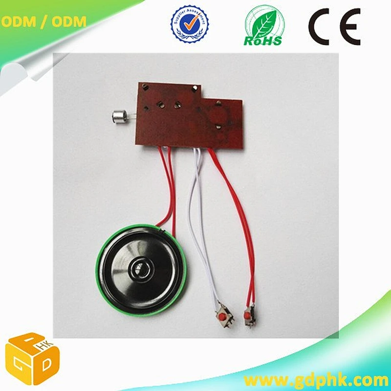 Mini voice recorder chip,voice activated recording chip
