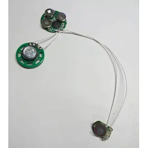 Customized Sound IC chip for door bell Customized OEM/ODM custom music chip greeting card COB