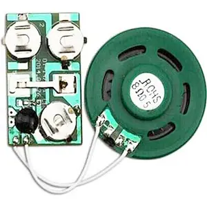 Frozen voice pre-recording ic chip / vibration control voice module sound pre-recording device for toy
