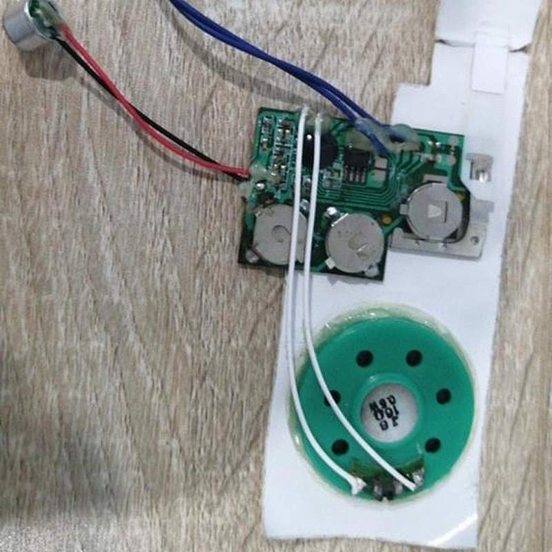 sound IC chip for plush toy and doll