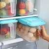 Haixin 4.5/9L Plastic Food Storage Container With Handle And Lid For Fruits/Vegetables/Food Refrigerator Box