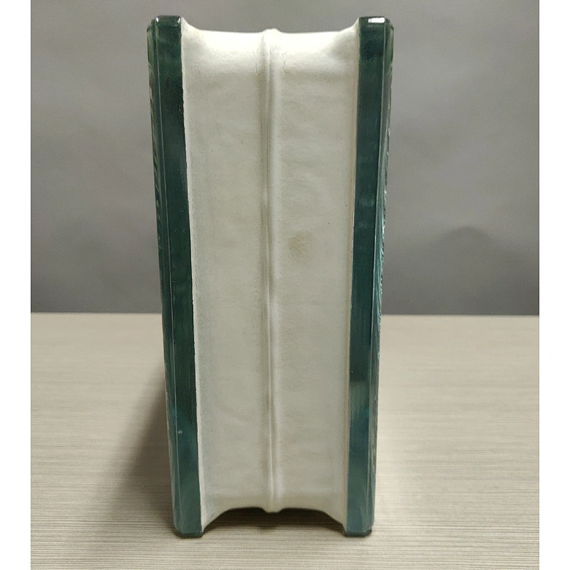 Hollow glass brick with ring pattern