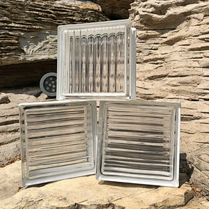 Super white parallel grain hollow glass brick