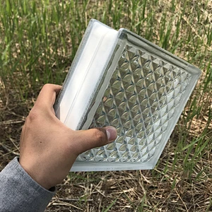 Transparent textured hollow glass brick