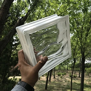 Dream grain white hollow glass brick