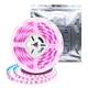 High quality 2835smd board pink color flexible led strip lights 120d DC12v 5m/10m/100m customized led rope strip