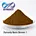 Basic Brown 1