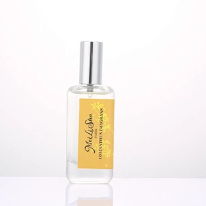 Rectangle glass perfume bottles with spray, collar and cap, 50ml perfume atomizer OEM
