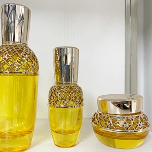 New style luxury  30g 50g 40ml 100ml 120ml cosmetics sub-bottle Mesh cover hollow high-end cosmetic bottle set