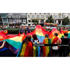 Hot sale promotion digital printing Polyester Flying and Hanging rainbow flags LGBT