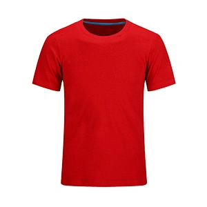 Custom advertising shirt printed work clothes round neck short sleeve summer women's blank T-shirt anniversary T-shirt