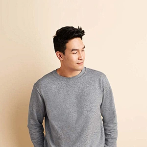 Promotional custom design 100% Cotton Pullover Hoodie Casual Fit Blank Solid Color sweatshirt hoodie