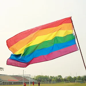 Hot sale promotion  digital printing Handheld rainbow flag Peace Flags Banner hang LGBT flag