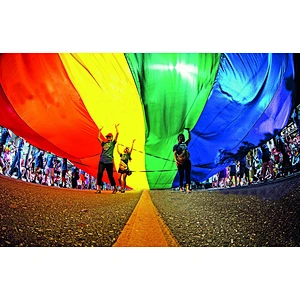 Hot sale promotion digital printing Polyester Flying and Hanging rainbow flags LGBT