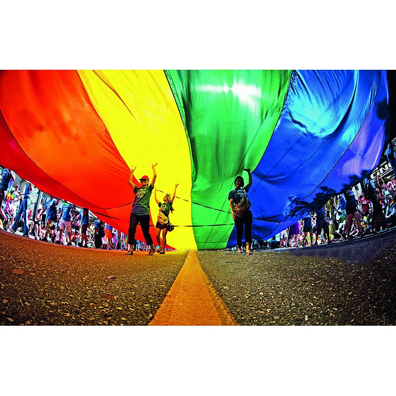 Hot sale promotion digital printing Polyester Flying and Hanging rainbow flags LGBT
