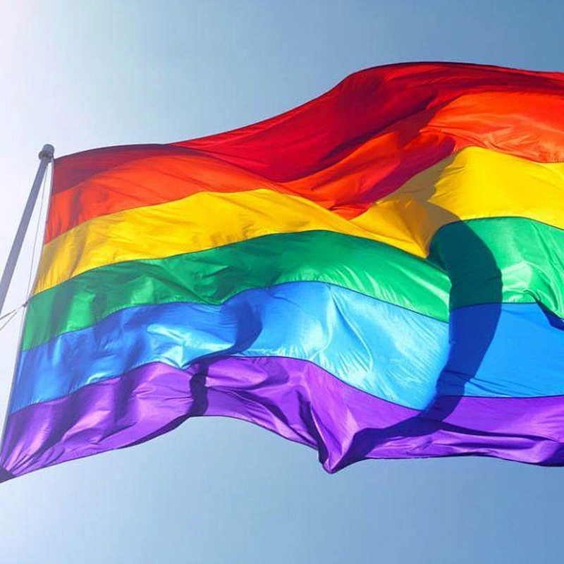 Hot sale promotion  digital printing Handheld rainbow flag Peace Flags Banner hang LGBT flag