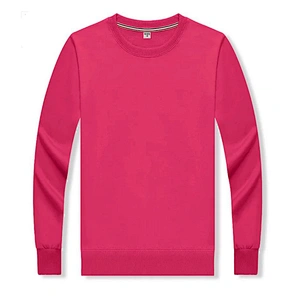 Hot Design OEM Custom Made Cotton &Polyester womens  Crew Neck sweatshirt Long Sleeve  blank Sweat Shirt