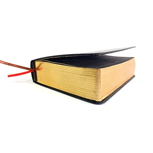 PU leather hardcover journal custom logo gilt- edged notebook promotion gift B5 notebook