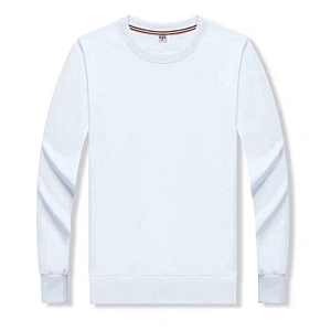 High quality Custom logo Cotton Spandex Men print plain blank long sleeve  sweatshirts crewneck pullover  unisex men women