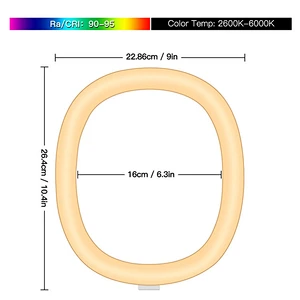 Hot sale 10 inch LED selfie ring light with Tripod stand remote control dimmable