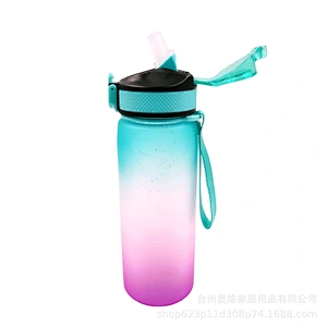 High quality custom  flip lid portable tritan frosted plastic sports fitness  personalized water bottles