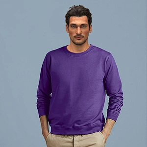 Promotional custom design 100% Cotton Pullover Hoodie Casual Fit Blank Solid Color sweatshirt hoodie