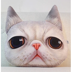 Decorative throw pillow and rug 3D cat face sofa cushion  cute car cat pillow sofa cushion plush toy custom printed pillow
