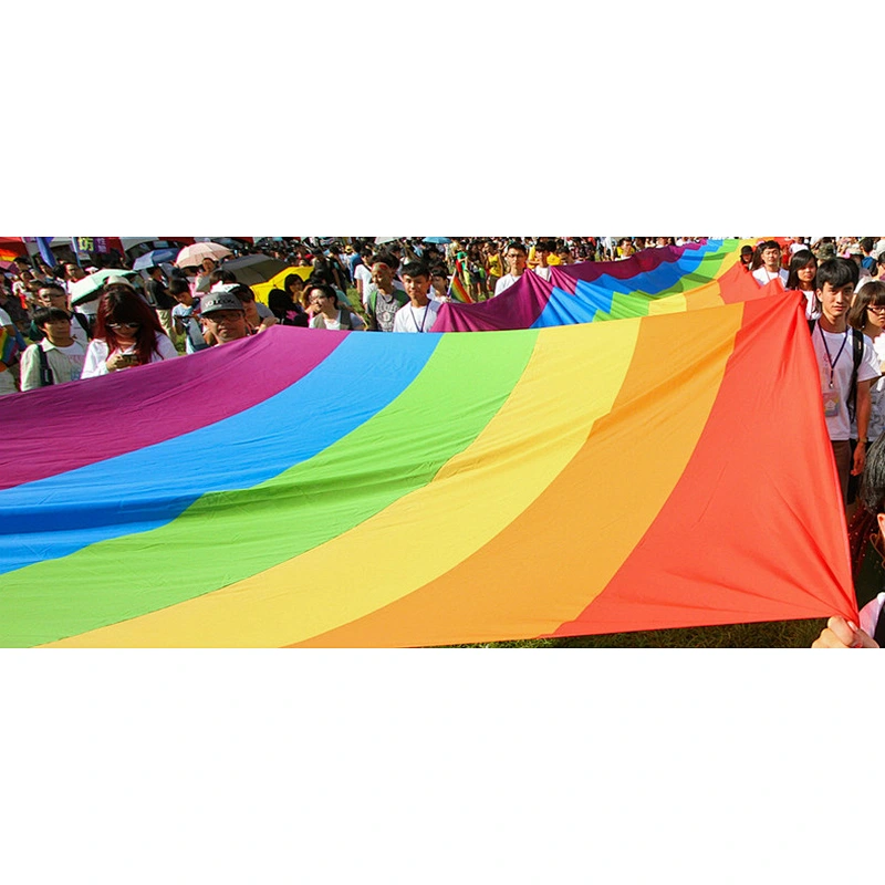 Hot sale promotion digital printing Polyester Flying and Hanging rainbow flags LGBT
