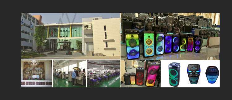 Electronic Multifunctional Speakers