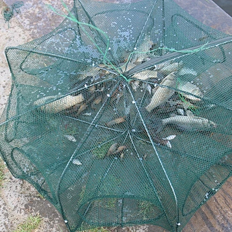 Nice Quality Hot Selling 6 holes Crayfish Trap Stainless Steel Wire  Crab Traps Crab/Lobster/Fish Trap Sale