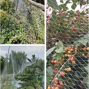Bird Netting for Plant PE Agricultural Anti-bird Plastic Nets