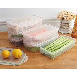 leachable plastic crisper preservation box to avoid tainting to keep dry