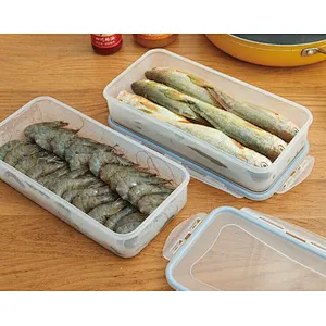 leachable plastic crisper preservation box to avoid tainting to keep dry