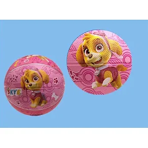 student PAW basketball with high quality in low price sport school used