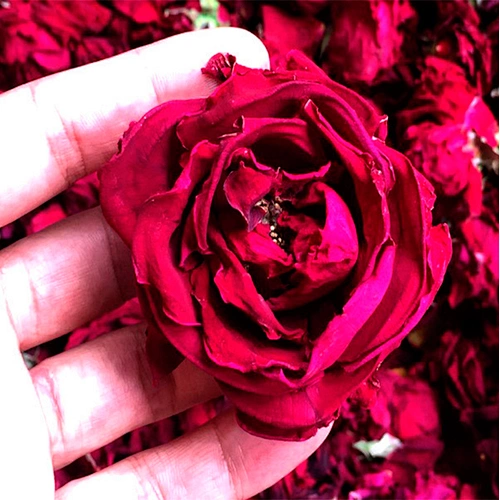 China rose planting base direct wholesale rose tea, dried rose flower bud tea with safe and high quality