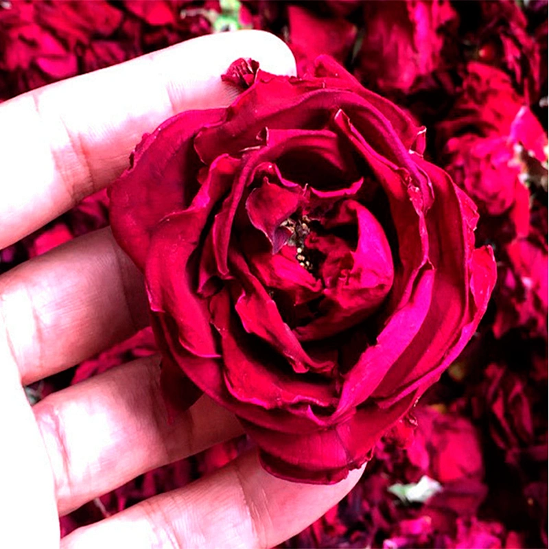China rose planting base direct wholesale rose tea, dried rose flower bud tea with safe and high quality