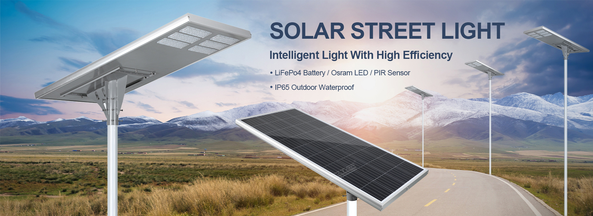 Solar Street Light