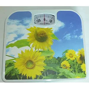 MECHANICAL SCALE