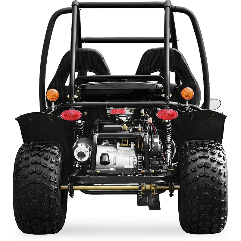 200CC sand buggy | off road Adult go kart 150cc