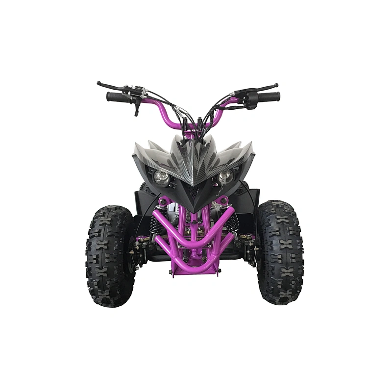 Hot sale best quality gas powered two stroke update four stroke 50cc mini quad bike