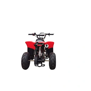 110CC 4-stroke quad bike gasoline automatic engine ATV MDL GA001