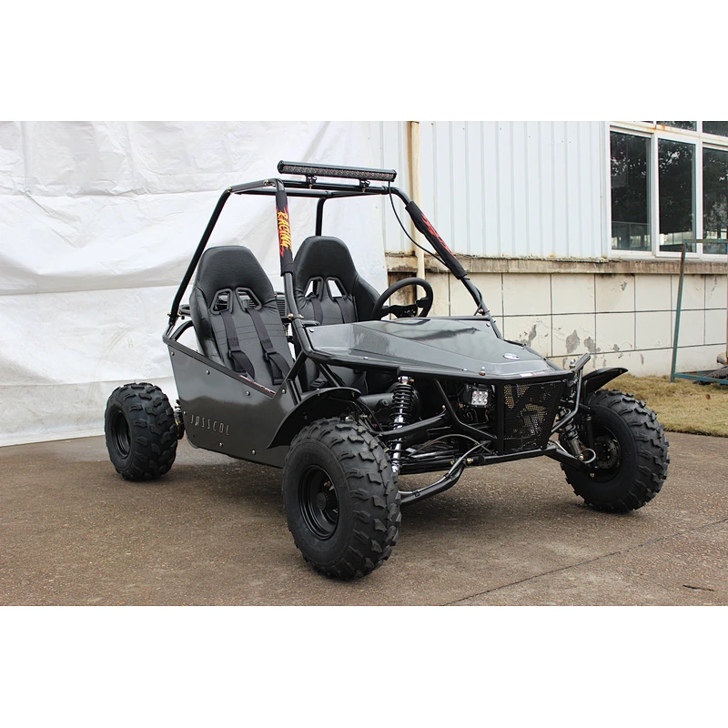 NEW buggy | 2 seater go kart  200/150cc